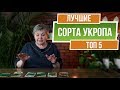 ТОП 5 Сортов Укропа ✔️ Выбираем семена укропа