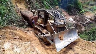 Tarik Kayu Balak | Pahang | Malaysia