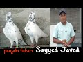 Best panjabi pigeon of mr javed sayyed aurangabad