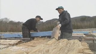 亀岡の寒天づくり ～出稼ぎ職人が支える天然製法～