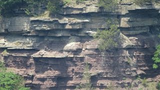 Colton Point State Park - Pine Creek Gorge - PA by FlorinSutu 2,813 views 8 years ago 8 minutes, 11 seconds