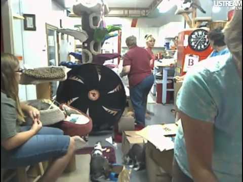 cage free vs organic eggs FFRC Boxes & Updates 7-18-12