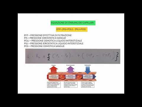 Video: Quale pressione è maggiore sull'estremità venosa di un capillare?