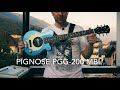 PIGNOSE PGG-200 MBL | Travel Guitar | Тревел Гитара | Обзор в Горах | Queen | Led-Zeppelin