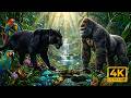 Amazon Forest Animals 4K 🦜 Calm Tropical Wildlife with Nature Sounds