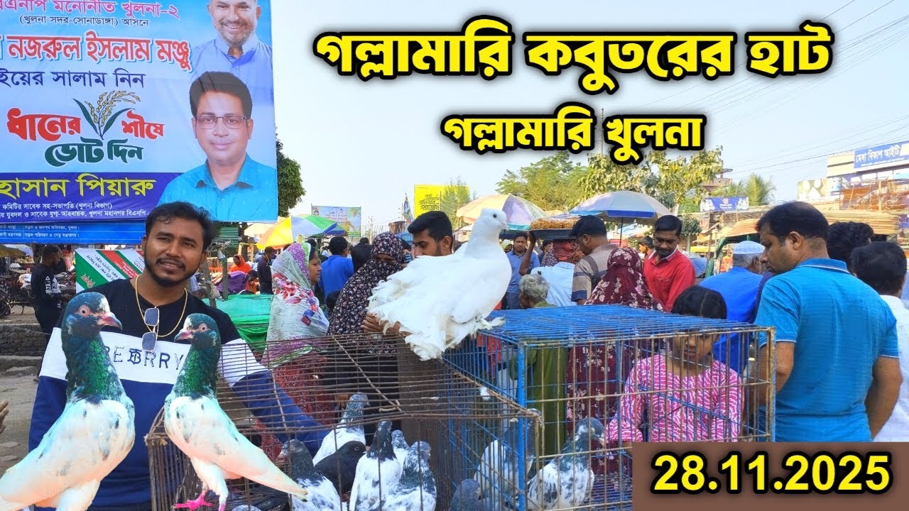 গল্লামারি কবুতরের হাট খুলনা। kobutorer hat khulna। pigeon market in khulna gollamari।