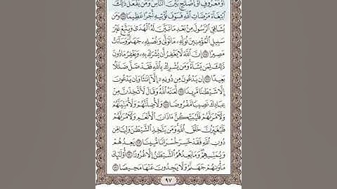 تلاوة سورة النساء 114-127