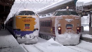 JNR Series 485 Rolling Train Name Sign 485系幕回し in Aomori
