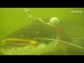 Подводная охота Лето-осень2012г_ч.2. Spearfishing. Записки охотника.