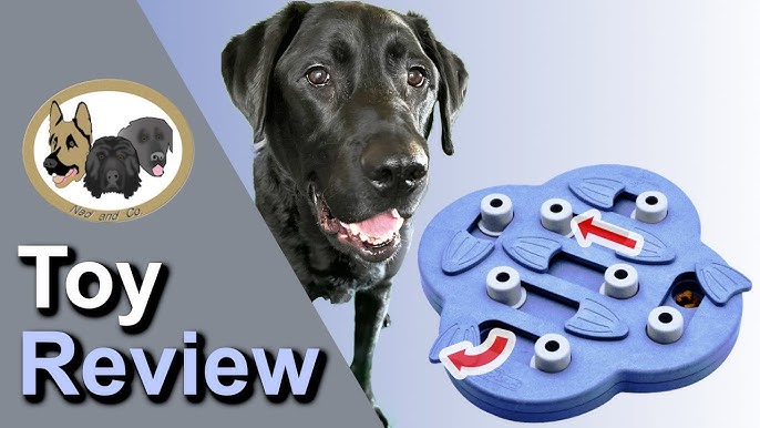 Dog Toy Review: Bob-A-Lot Interactive Treat Dispenser 