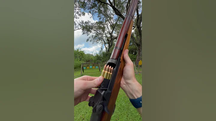 WW2 M1 Garand vs. Germen Helmut