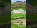 DHA phase 4 islamabad ,kanal plot in Sector A .plot No 14 Main Link Road ,Dem 3.25