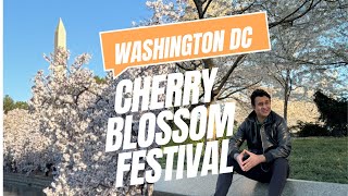 Cherry Blossom Festival in Washington DC I Festivities of Spring