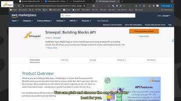 Benefits of using Snowpal