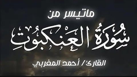 أفضل تلاوات القارئ أحمد المغربي | تلاوة تبث السكينة في القلوب