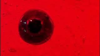 Download lagu Joji - Like You Do (1 Hour Loop)