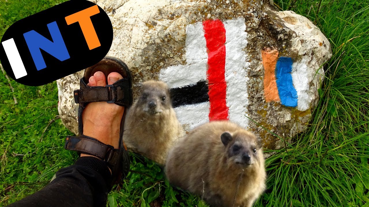 Israel National Trail: Dishon Valley & Meron Mountain [Ep. 2]