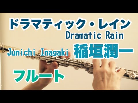 ドラマティック・レイン Dramatic Rain/稲垣潤一 Junichi Inagaki【フルートcover】