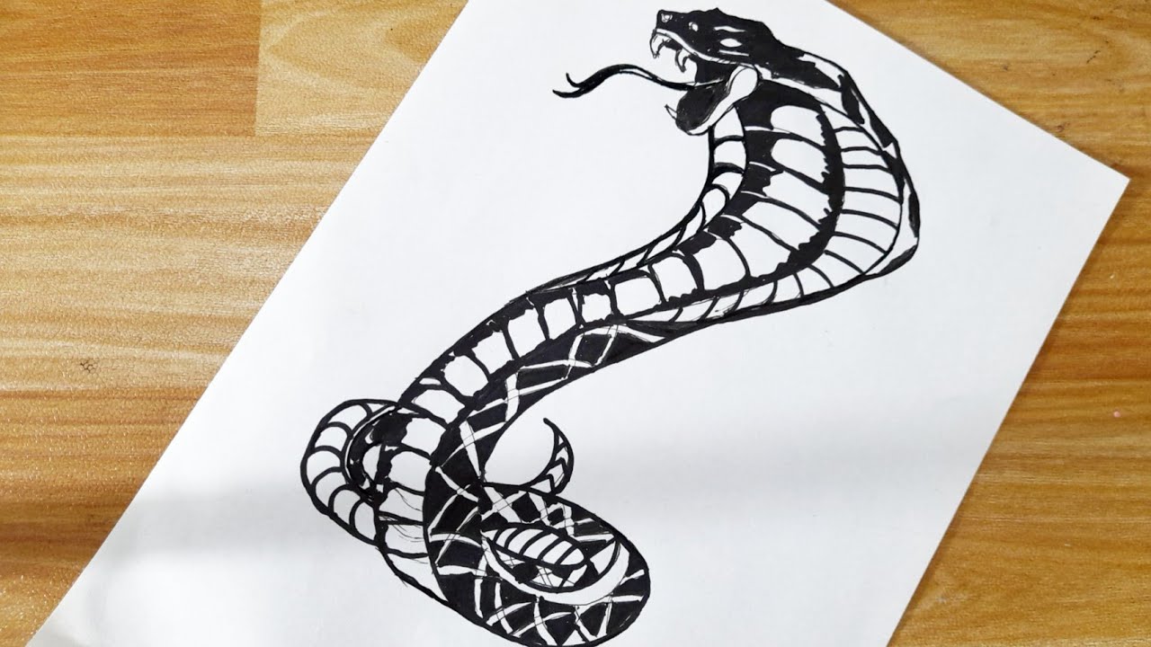 Cobra Snake Sports Team Mascot Element Logo Color ClipArt SVG – ClipArt SVG