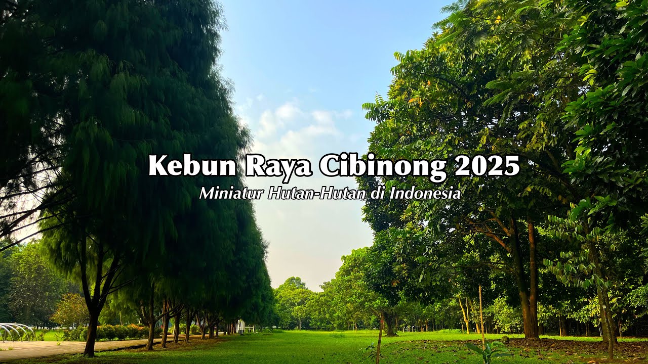 Kebun Raya Cibinong 2025 | Miniatur Hutan-Hutan di Indonesia