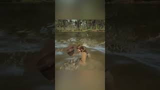 Arthur Gets ATTACKED by a GIANT Crocodile! 😱🐊 | Most Terrifying RDR2 Moment | Short