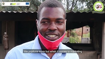 Zonke Farm piggery project explainer