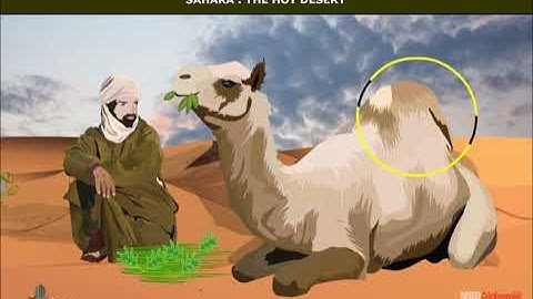 Life in the Deserts ( Sahara and Ladakh Deserts ) Geography | Class 7