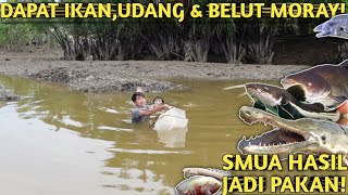 BERTUALANG, PASANG BUBU NAGA \u0026 NGEJALA DI SUNGAI UNTUK KASIH MAKAN IKAN MONSTER
