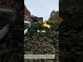 Insane Hedge Trimmer Machine! Perfect Garden Cuts in Seconds