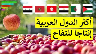 اكبر الدول العربية المنتجة للتفاح