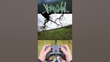 THROUGH THE TREE 🌳🛸🎥🕳️ #FreestyleFPV #DROAN #OASISFLY25 #FPVLife #FPVCommunity #DroneVibes #Cine