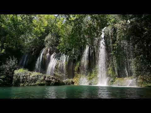 Suara Air Dan Burung Di Hutan🎵 - (4k HDR) {🔴LIVE.} Hati Pasti Tenang Dengar. Sound water.Ralexing.
