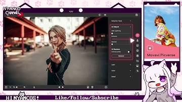 【STEAM】 Movavi Picverse Photo Editor - Manual & Tutorial (PC)