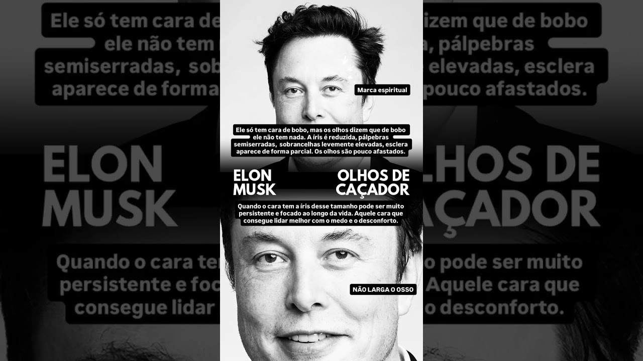 Se você segue esse conteúdo a um tempo já deve ter percebido que até agora eu só liberei cerca de