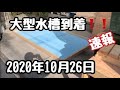 プラ船水槽錦鯉ライフ「大型水槽到着！」2020年10月26日