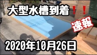 プラ船水槽錦鯉ライフ「大型水槽到着！」2020年10月26日