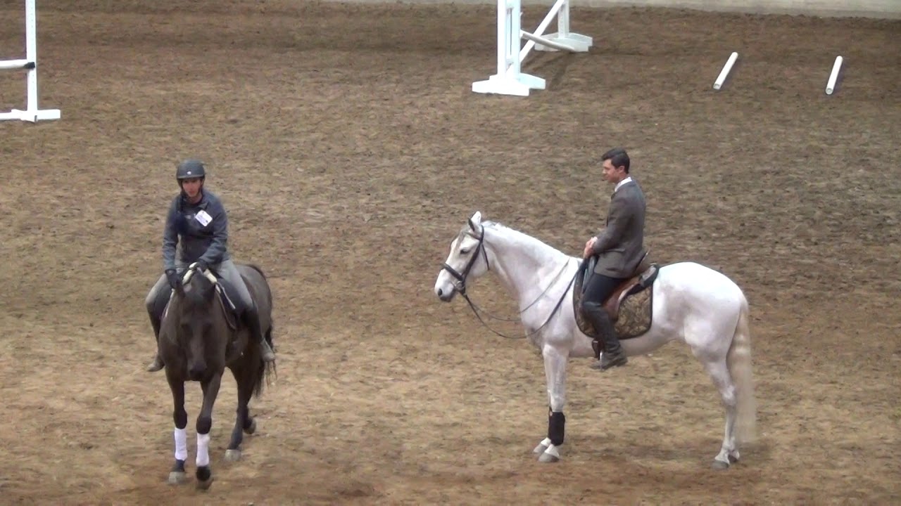 PA Horse World Expo 2018- Advance Bridleless riding and Jumping
