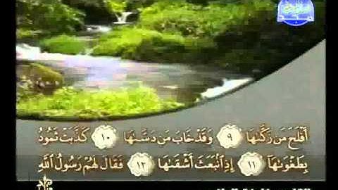 خليفة الطنيجي   سورة الشمس