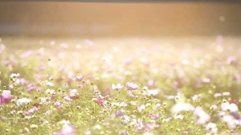 Abraham Hicks ~ Are you problem oriented or solution oriented