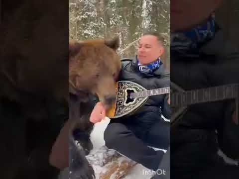 Λαρισαίος παίζει μπουζούκι στα χιόνια και τον... σιγοντάρει μια αρκούδα!