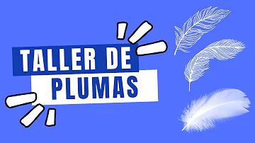 ¿Cuáles son las funciones de la pluma?