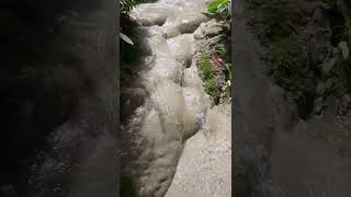 Bua Tong Falls Sticky Falls