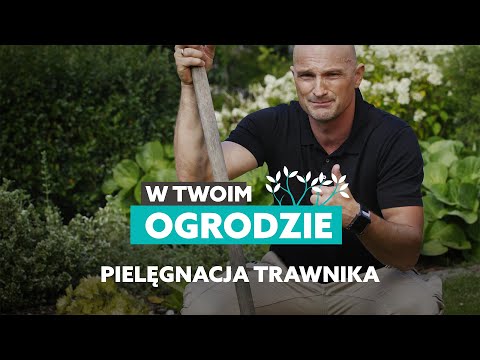 Wideo: Jak Pielęgnować Ciężką Pracę