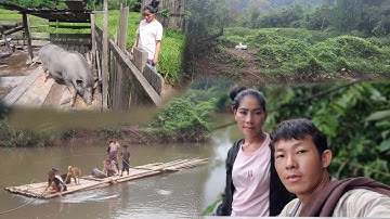 wb rov qab mus pub qaib pub npua thiab saib nyuj saib twm dua