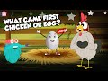 What Came First The Chicken or The Egg? | The Most Confusing Question | The Dr. Binocs Show