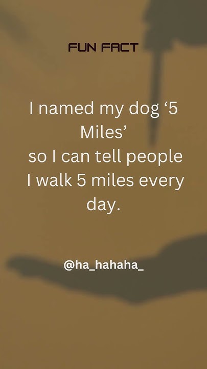 i-named-my-dog-5-miles-so-i-can-tell-people-i-walk-5-miles-every-day