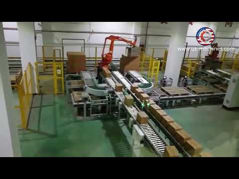 Carton box robot hand palletizing machine box palletizer equipment line