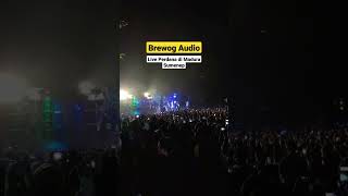 Download Lagu Brewog Audio ft DJ GHEA #audio #glerr #horeg #soundsystem #brewogaudio #blitar MP3