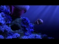 Finding Nemo - "Nemo Egg" scene (in Beautiful HD)
