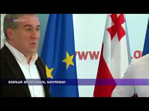 ნუგზარ წიკლაურის ბრიფინგი